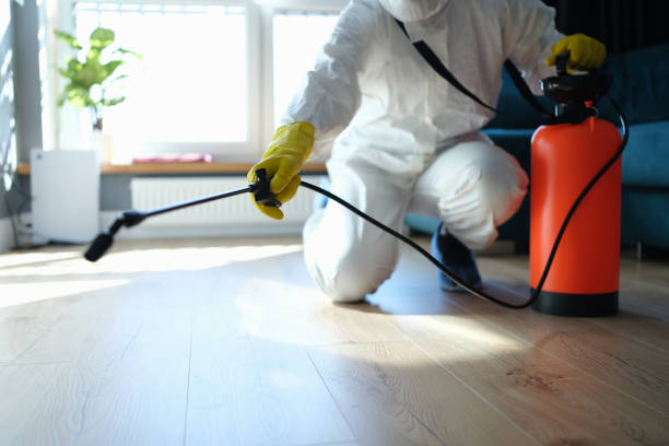 Trusted Sewage Cleanup service in Evansville, IL - Four Month Blood Cleanse